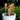 SunBeam | Zonne-energie Zaklamp - Bliss Home