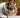 TrackCat | GPS Volgsysteem voor Katten met Real-Time Updates - Bliss Home