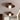 LichtSchotel | Moderne Plafondlamp - Bliss Home
