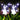 AuraGlow | Zonneballen met Engelenlicht - Bliss Home