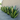 Duurzaam Zonne-Agave Licht - Elegant, Waterdicht en Handgemaakt voor je Tuin - Bliss Home