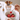 EleganceFork - Stijlvol & Functioneel - Hygiënische RVS Fruitvorken - Bliss Home