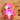 Veranderende Kleur LED Teddybeer - knuffelbare, zachte vacht - perfect voor comfort en troost - 32 cm hoog - - Bliss Home