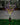 SolarSpectraBloom | Energiezuinige 7-Head Zonneverlichting voor Buitenruimtes - Bliss Home