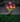 SolarSpectraBloom | Energiezuinige 7-Head Zonneverlichting voor Buitenruimtes - Bliss Home