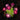 SolarSpectraBloom | Energiezuinige 7-Head Zonneverlichting voor Buitenruimtes - Bliss Home
