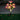 SolarSpectraBloom | Energiezuinige 7-Head Zonneverlichting voor Buitenruimtes - Bliss Home