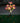 SolarSpectraBloom | Energiezuinige 7-Head Zonneverlichting voor Buitenruimtes - Bliss Home