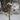 Charmant Wiel Vogelvoeder - Functioneel en Decoratief - Stevige en Praktische Bouw - Bliss Home