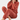 SnugDream - Comfortabele & Warme Pyjama Set - 2-Delige Zachte Loungewear Set voor Dames - Bliss Home