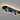 LichtRit | Luxe Verlichte Skateboard - Bliss Home