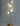 WoodShine – Elegante LED Boomlamp - Bliss Home
