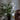 WoodShine – Elegante LED Boomlamp - Bliss Home