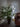 WoodShine – Elegante LED Boomlamp - Bliss Home