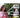 Draadloze Beveiligingscamera Buiten 1080P met Weerbestendige Constructie en Intuïtieve App voor Optimaal Toezicht 6