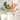 EucaLoom – Gedroogde Eucalyptusbladeren voor Natuurlijke Decoratie - Bliss Home