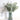 EucaLoom – Gedroogde Eucalyptusbladeren voor Natuurlijke Decoratie - Bliss Home