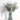 EucaLoom – Gedroogde Eucalyptusbladeren voor Natuurlijke Decoratie - Bliss Home
