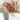 EucaLoom – Gedroogde Eucalyptusbladeren voor Natuurlijke Decoratie - Bliss Home