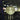 RegenGlow | Duurzame Buitenverlichting - Bliss Home