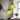 Gekleurde Glazen Hanglamp met Verstelbare Hoogte – Modern Bauhaus Design voor Eetkamer en Keuken 2