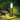 SuperBeam | Ultra Sterke Verlichting - Bliss Home