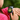 Interactieve Kindersmartwatch met Camera en LBS-Tracking – Kleurrijk en Kindvriendelijk voor Kinderen van 4-12 Jaar 1