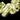 Kerstverlichting Lint String Lights – LED Decoratie voor Bruiloften en Feestelijke Gelegenheden in Zilver, Goud en Rood 7