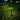 LuminousLawn | Elegante Zonne-Tuinverlichting - Bliss Home