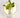 PlantaLamp | Wandlamp met Plantenbak - Bliss Home