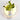 PlantaLamp | Wandlamp met Plantenbak - Bliss Home