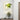PlantaLamp | Wandlamp met Plantenbak - Bliss Home