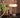 NatureLume - Natuurlijke Houten Tafellamp met Zacht Schijnsel - Bliss Home