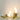 BanaanLuxe | Stijlvolle Bananenlampen - Bliss Home