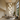 Moderne Kroonluchter met Glazen Bollen en Verstelbare Hoogte – Scandinavische Hanglamp voor Elegante Ruimtes 3