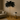 Moderne Vloerlamp met Struisvogelveren en LED Verlichting – 170 cm Hoog, Elegante Staande Lamp voor Woonkamer en Slaapkamer 3