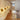 NordGlow – Wandlamp van Hout met Scandinavische Sfeer - Bliss Home