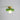 BauhausLicht – Franse Plafondlamp in Iconisch Bauhaus Design - Bliss Home