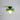 BauhausLicht – Franse Plafondlamp in Iconisch Bauhaus Design - Bliss Home