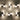 SealLume | LED Wandlamp met Waterdichte Bescherming - Bliss Home
