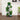 PlantLoom – In Hoogte Verstelbare Plantenstandaard met 4 Niveaus - Bliss Home