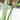 PlantEase – Verstelbare Plantensteunen Set van 20 Stuks - Bliss Home