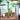 PlantEase – Verstelbare Plantensteunen Set van 20 Stuks - Bliss Home