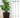 PlantEase – Verstelbare Plantensteunen Set van 20 Stuks - Bliss Home