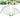 PlantEase – Verstelbare Plantensteunen Set van 20 Stuks - Bliss Home