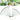 PlantEase – Verstelbare Plantensteunen Set van 20 Stuks - Bliss Home