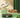 ChicPet | Elegante Roestvrijstalen Voer- en Waterbak Set - Bliss Home