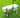 ToughPaw | Duurzame Hondenriem voor Alle Honden - Bliss Home