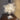 FeatherBeam | Stijlvolle Veerlamp voor Interieur - Bliss Home
