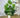 PalmLux | Realistische Sierplant Met Groot Blad